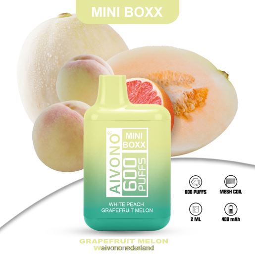 witte perzik-grapefruitmeloen Aivono AIM MINI BOXX 600 P8J06241 | Aivono Nederland