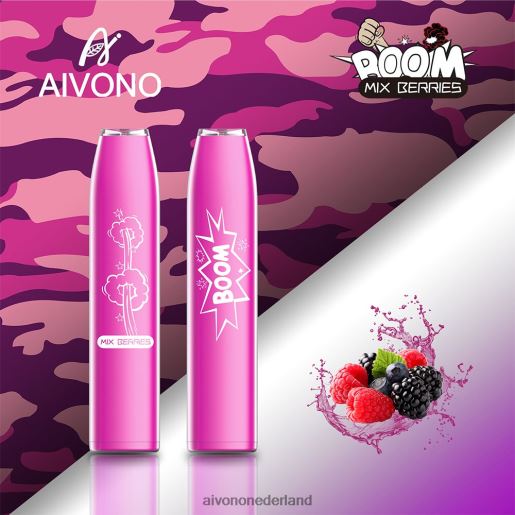 gemengde bessen Aivono AIM BOOM 600 P8J06361 | Aivono Nederland